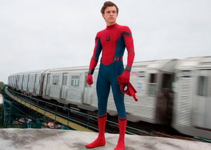 spider