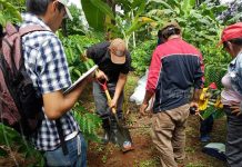 Productores de Nueva Guinea reciben capacitación sobre abono orgánico y estudio del suelo