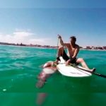 Video: Un calamar gigante ataca a un surfista en Sudáfrica