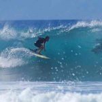 Un surfista muere tras el ataque de un tiburón blanco en el este de Australia australia, ataque de tiburon, surfista,
