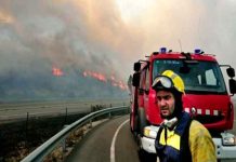 Suspenden trenes de París a Marsella por incendios forestales
