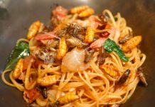 Los insectos se vuelven comida gourmet en Tailandia