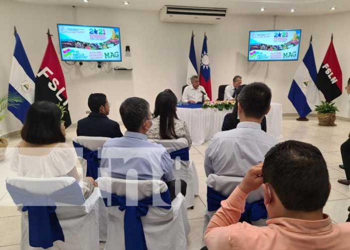 taiwan-ganaderia-03 nicaragua, ganaderia, bovina, inversion, taiwan,