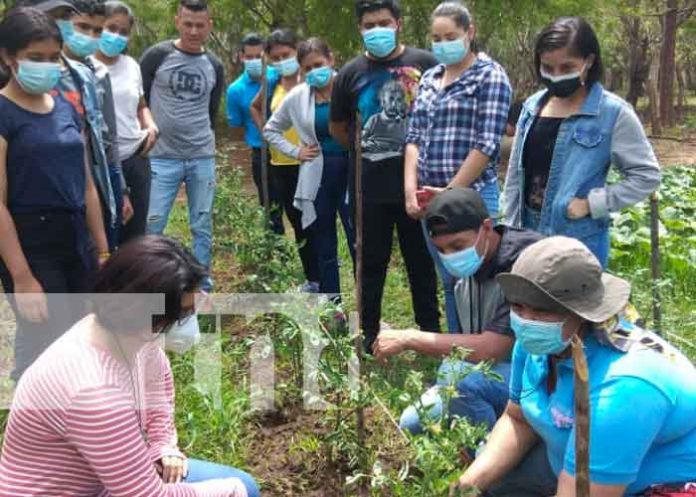 tecnico-3 nicaragua, educacion, nandaime,