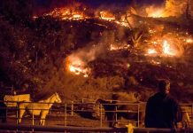 Incendio Thomas, casi del tamaño de Los Ángeles, amenaza por nuevos vientos