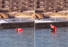 YouTube: Mujer cargó un tiburón en el mar para salvar a su madre
