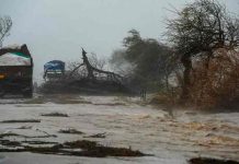 india, fallecidos, tifon tauktae, meteorologia,