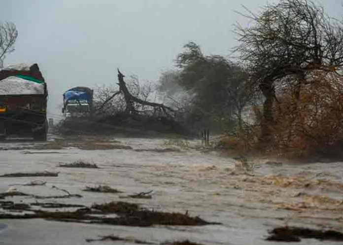 india, fallecidos, tifon tauktae, meteorologia,