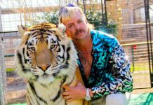 Decomisan decenas de felinos del parque de Joe Exotic en EE.UU estados unidos, parque joe exotic, felinos, maltrato animal,