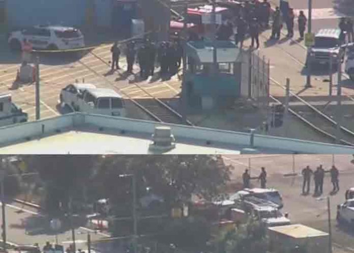 estados unidos, california, tiroteo, policia,