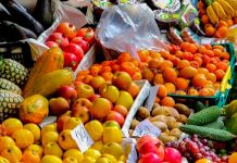 Científicos eligen la mejor dieta del mundo
