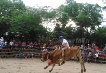 Madriz: Inician preparativos para las fiestas patronales en honor a Santiaguito