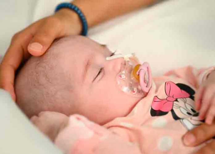 españa, ciencia, trasplante de corazon, medicina,