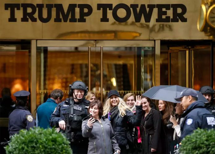 trump4