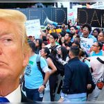 Casa Blanca considera «indignante» la orden para revivir plan migratorio DACA