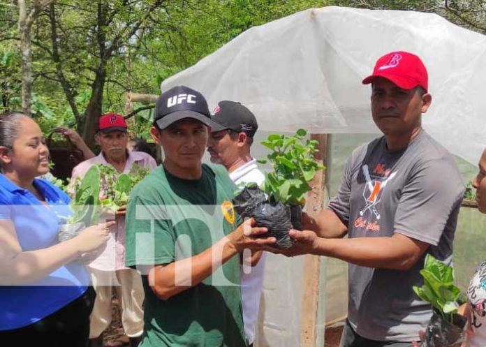 nicaragua, siuna, microtunel,