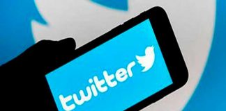 twitter, verificación,