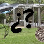 ¿Fue realmente un OVNI lo que se vio en Estelí durante el pasado eclipse solar?