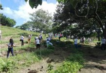 Rivas: INAFOR y empresa privada en 2da jornada de reforestación
