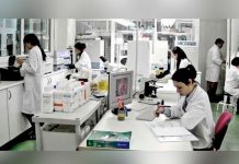 Doctores evaluan vínculo de zika con problemas cardiacos