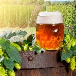 Beneficios saludables de la flor que da el aroma y sabor a la cerveza