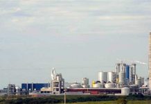 Uruguay buscar construir nueva planta de celulosa