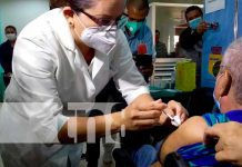 Procesos de vacunación siguen su efectiva marcha en Nicaragua vacunación, covid19, influenza, nicaragua,