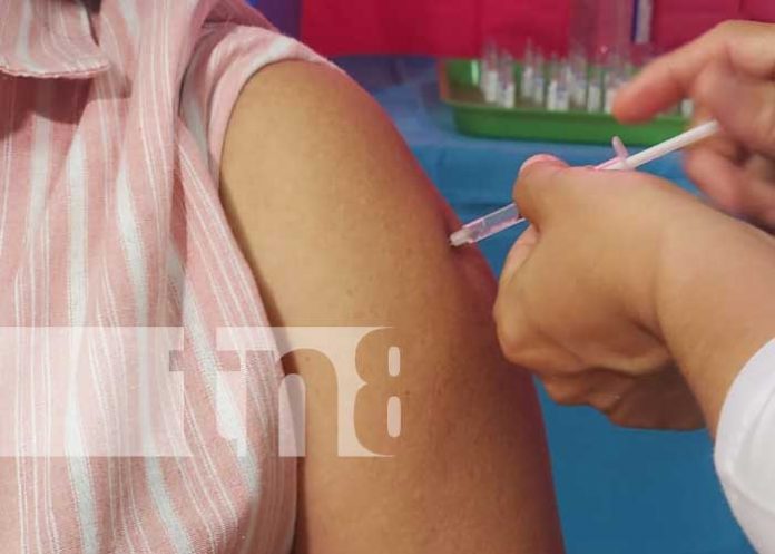 nicaragua, vacunacion, covid 19, minsa, salud,