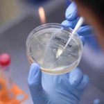 Vietnam detecta una nueva variante del coronavirus vietnam, nueva variante, covid-19-