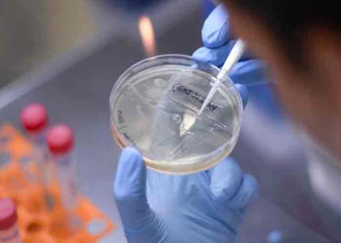 variante- vietnam, nueva variante, covid-19-