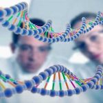 Científicos descubren un nuevo mecanismo para retrasar el envejecimiento Científicos descubren un nuevo mecanismo