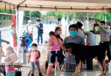 Realizan feria de la salud médica veterinaria en Tipitapa Tipitapa, Nicaragua, animales, feria, veterinaria,