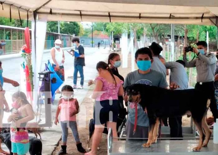Tipitapa, Nicaragua, animales, feria, veterinaria,