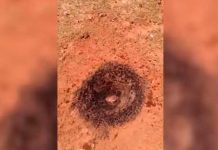 Video: Estadounidense halla un meteorito ardiendo en su patio