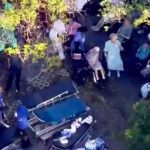 Cinco personas mueren en un asilo de Florida tras el paso de Irma