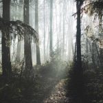 ¿Sería capaz de encontrar el peligro mortal que se esconde en esta foto?