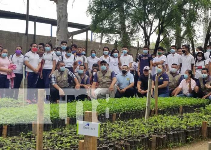 nicaragua, vivero, ocotal, produccion, ganaderia,