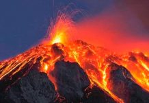 Descubrieron qué causó la mayor extinción masiva de la historia