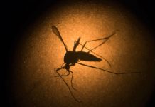 India reporta los primeros 3 casos de zika