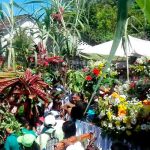 Ometepe: Cultura, fe y tradición en la popular danza de los Zompopos