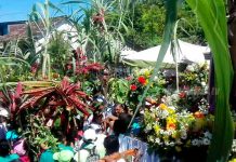 Ometepe: Cultura, fe y tradición en la popular danza de los Zompopos