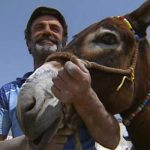 Hombre tiene sexo con un burro y ahora tendrá que casarse con él