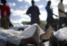 Encuentran siete cadáveres en México
