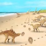 Descubren las huellas de los últimos dinosaurios que caminaron por Reino Unido ciencia, descubrimiento, dinosaurios, huellas, caracteristicas
