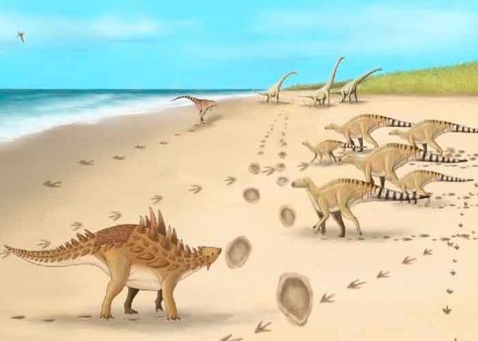 1 ciencia, descubrimiento, dinosaurios, huellas, caracteristicas