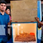 nicaragua, masaya, inta, innovacion,