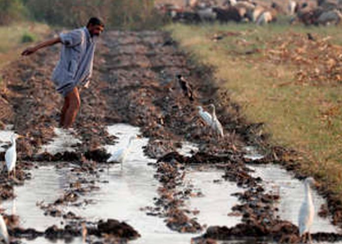 ciencia, jeroglíficos, antigua estela, egipto,