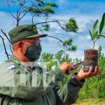 Destacamento Militar Norte participa en jornada de reforestación nicaragua, bilwi, Destacamento Militar Norte, reforestación,