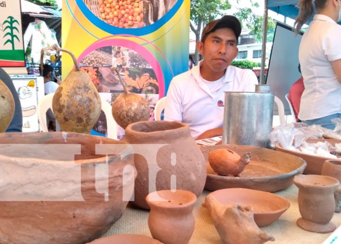 nicaragua, matagalpa, mefcca, innovacion,