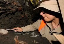 ciencia, mexico, descubrimiento, entierros prehispanicos, xochimilco